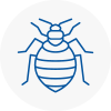 Bed Bug Extermination In Kingston Upon Thames